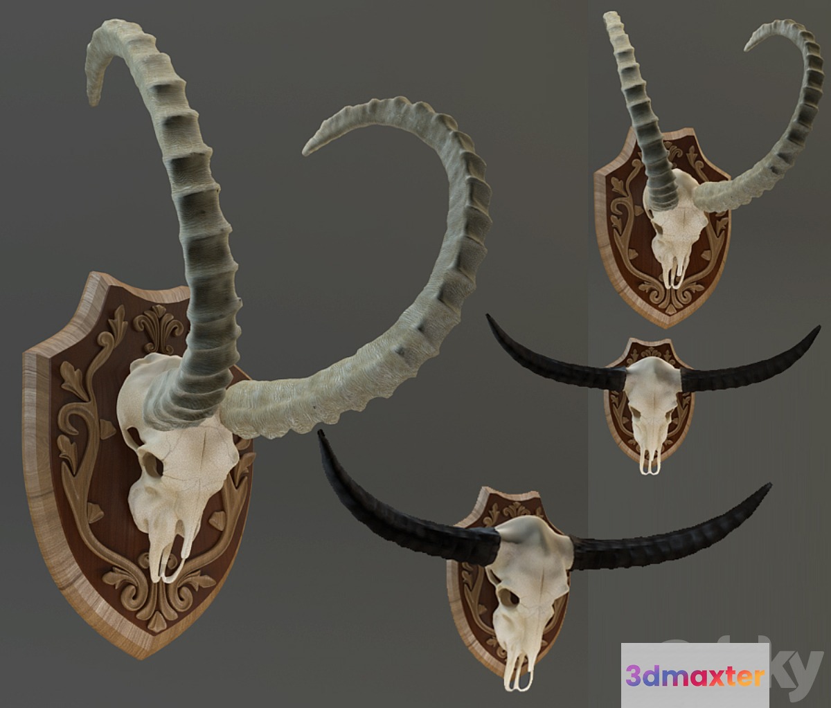 The Horn Of Africa 3D Max