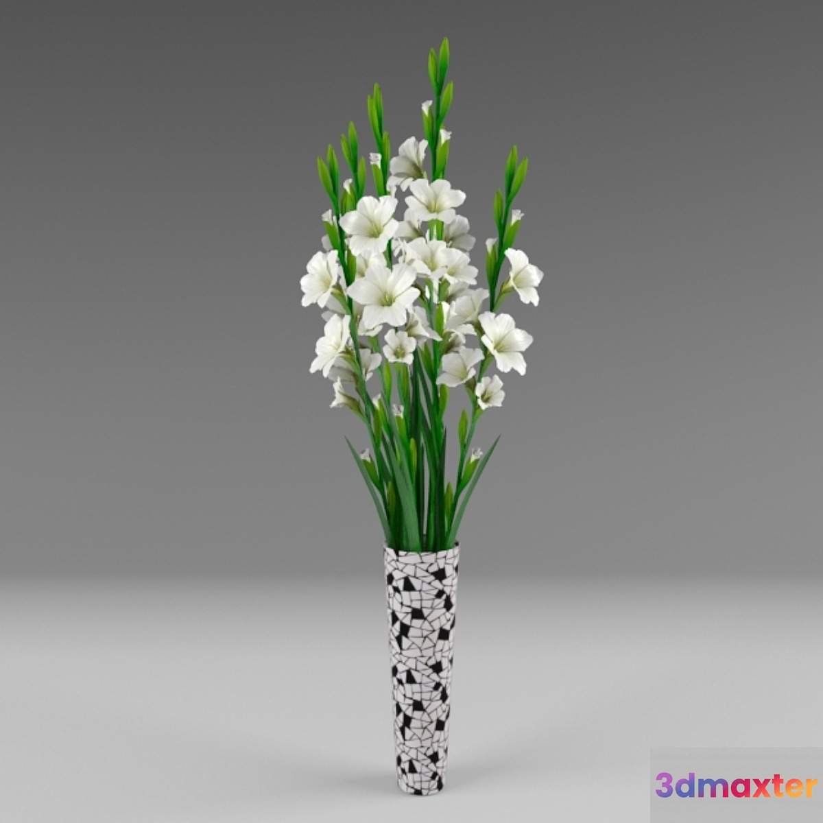 Gladiolus 3D Max