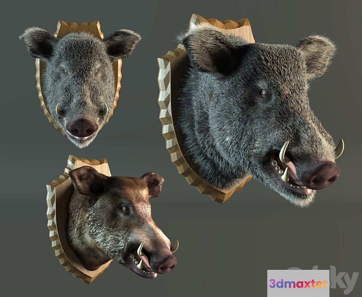 stuffed wild boar