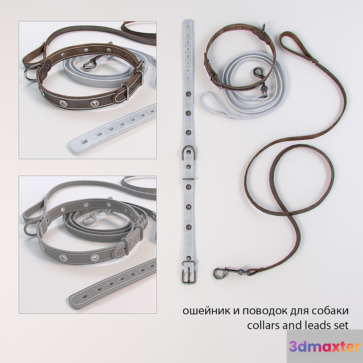 Dog collar and leash_collar and dog lead