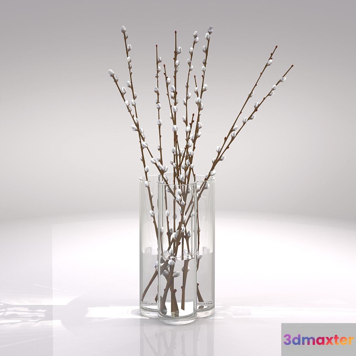 Willow vase 3D Max