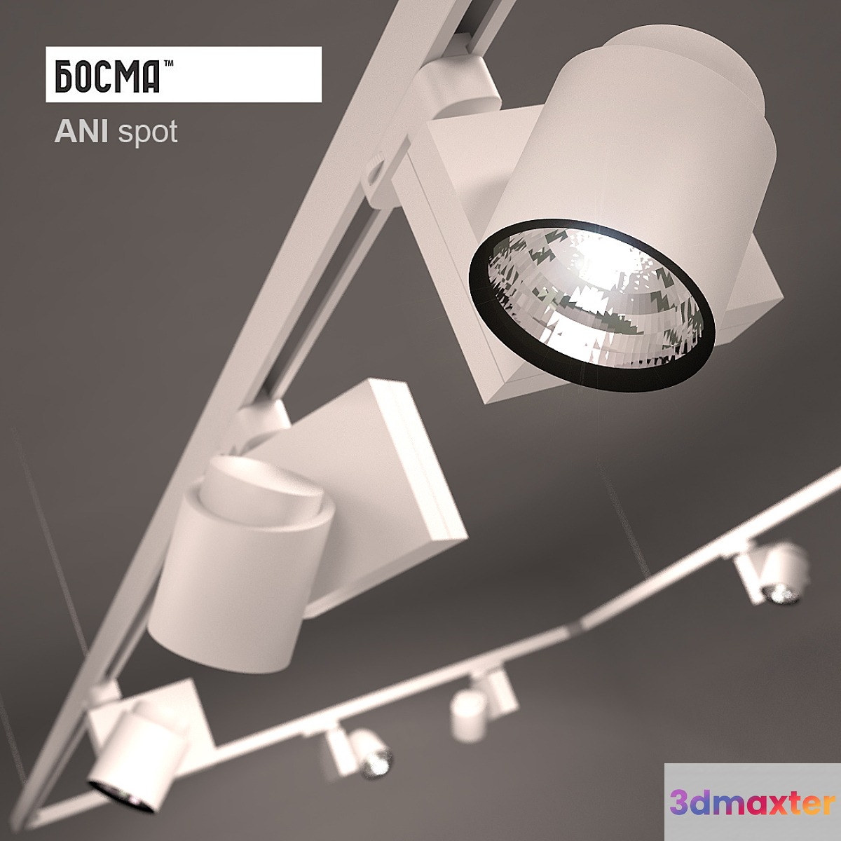 Ani spot