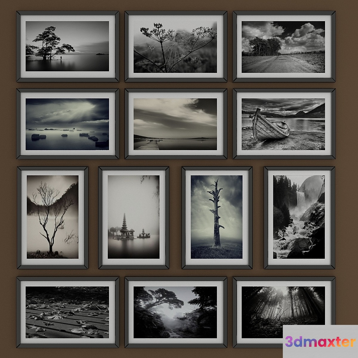 Black and white pictures of Nature 3D Max