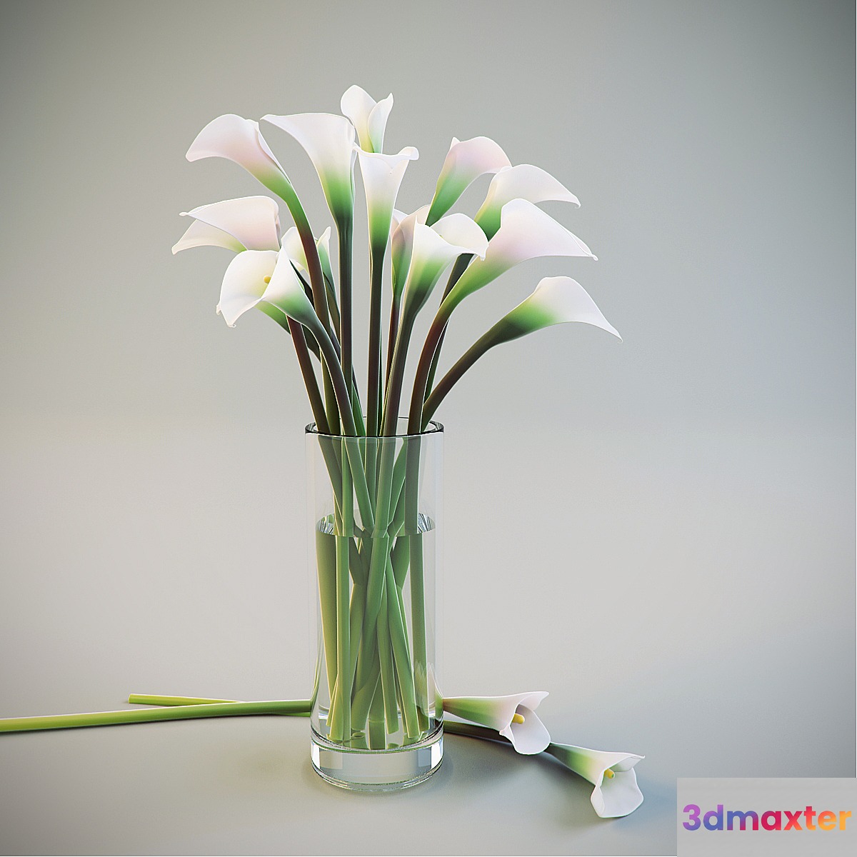 Calla Lilies in a vase 3D Max