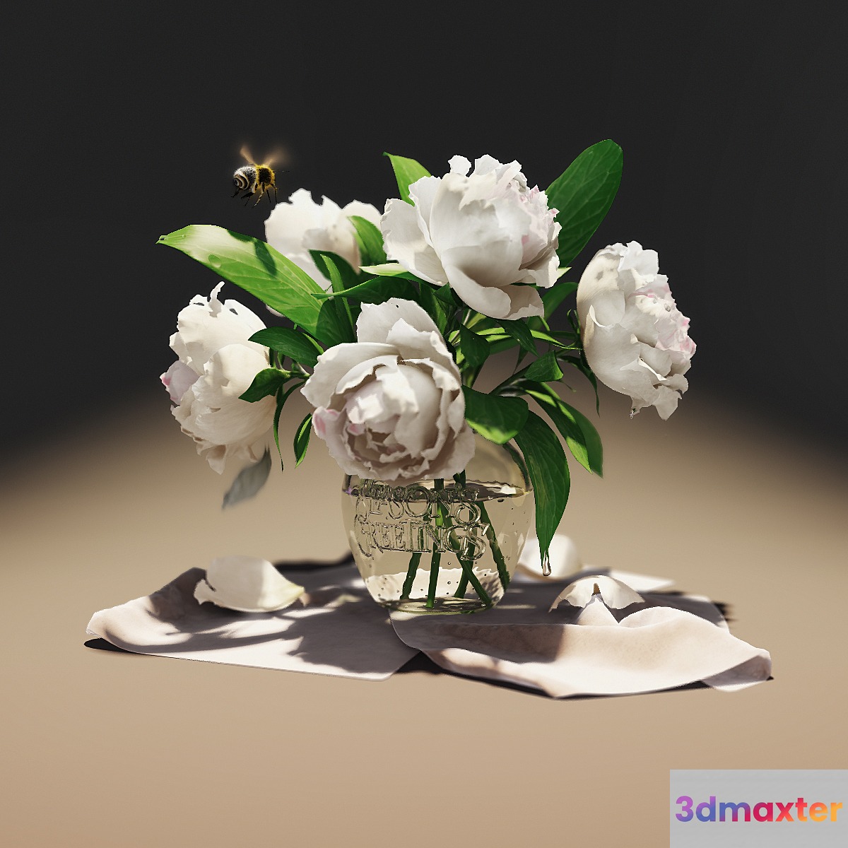 Peonies - No.5