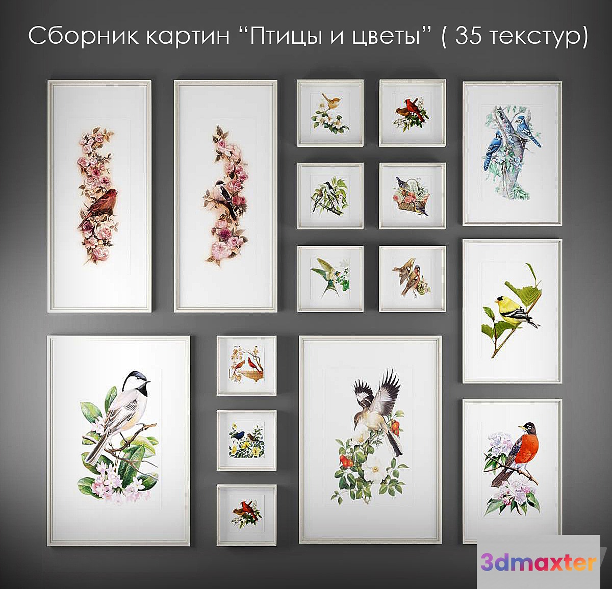 A collection of paintings of birds and flowers 