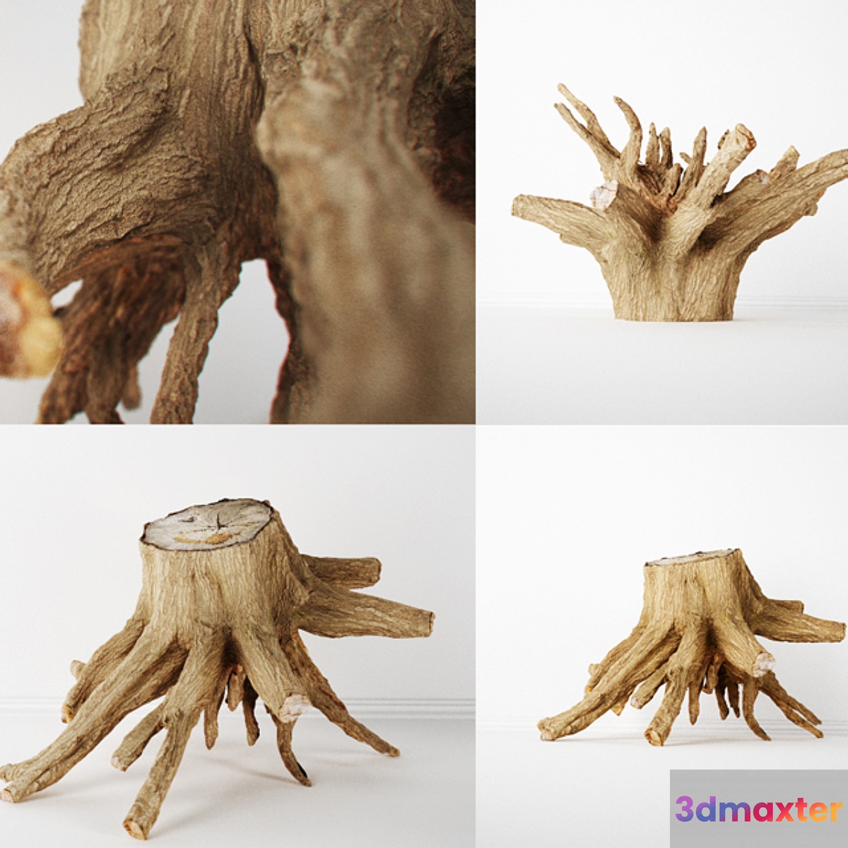 Stump - No.2