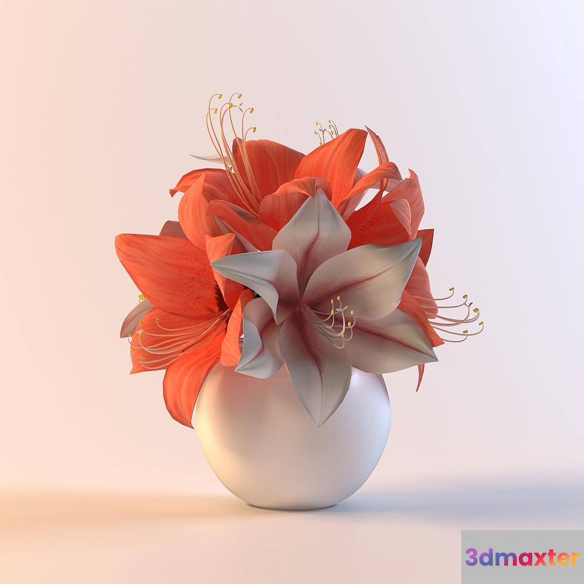 Bouquet gippeastrumov