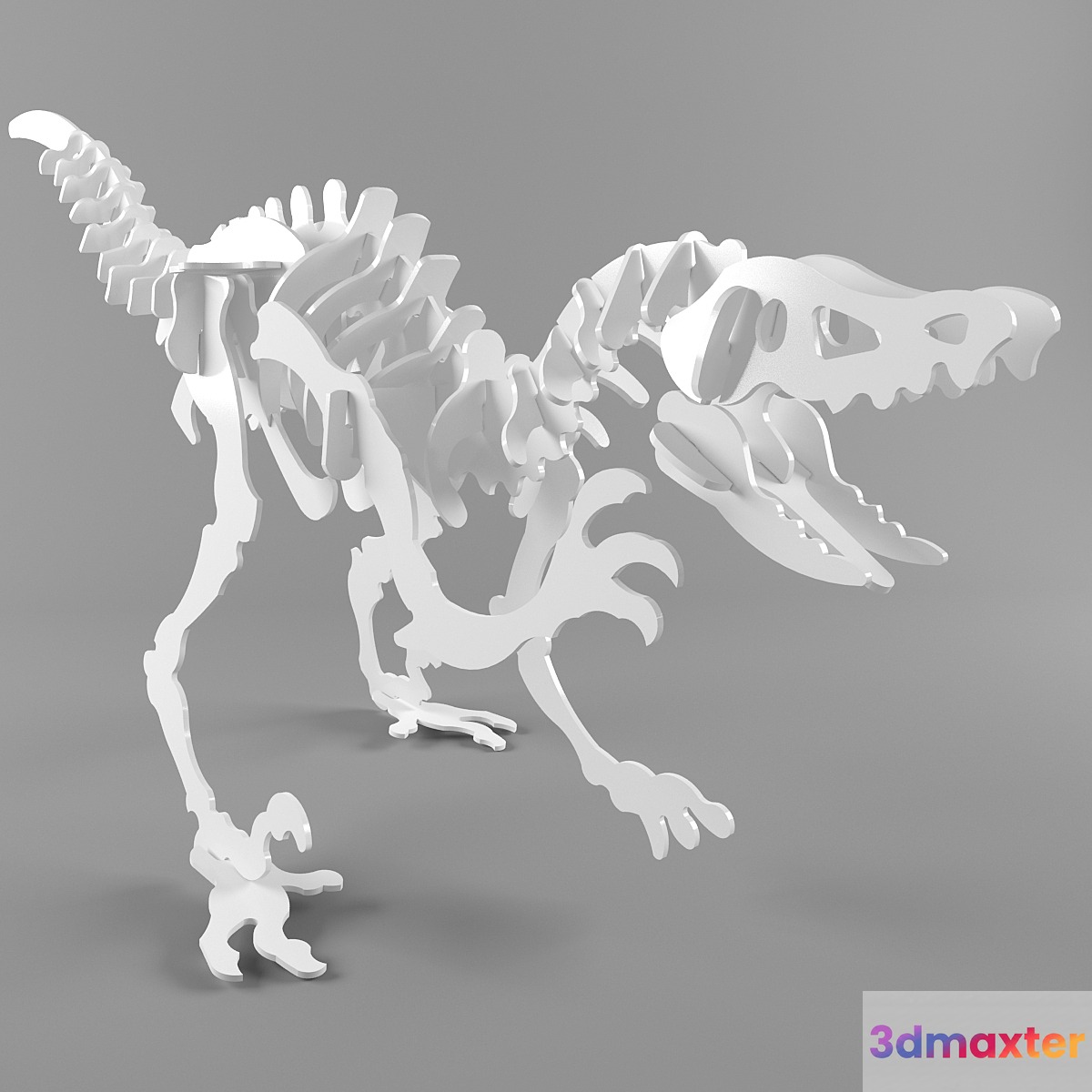 Raptor