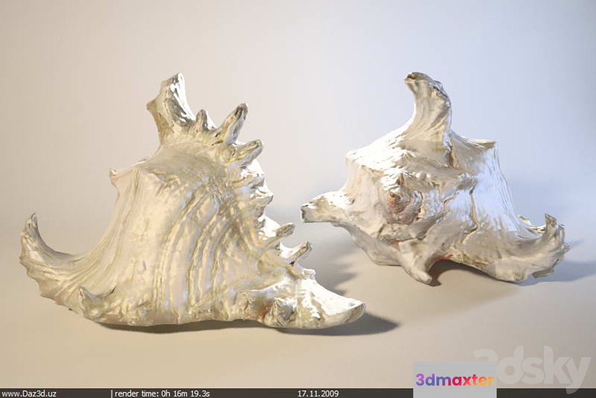 Barnacle 2