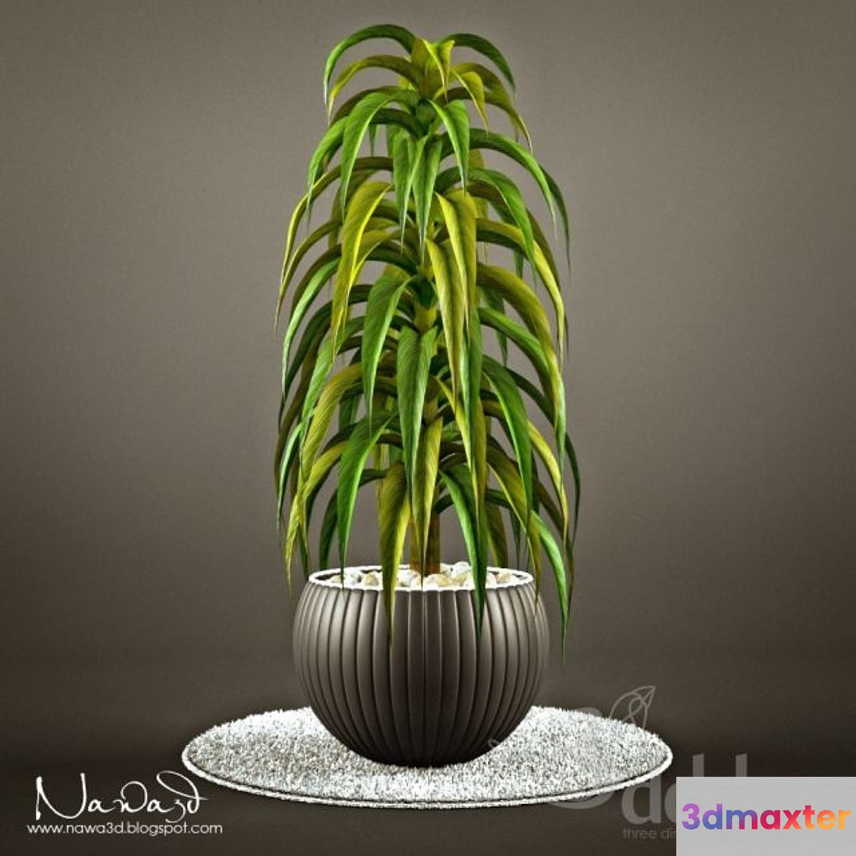 Pot Plant 1 3D Max