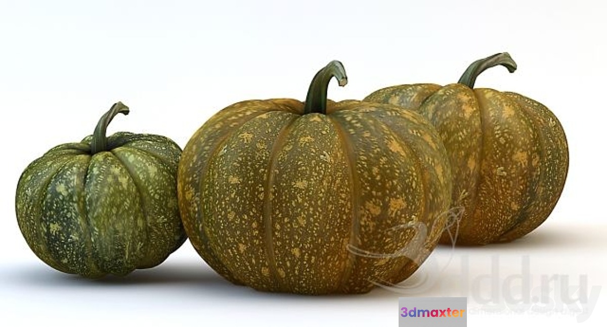 the three pumpkins