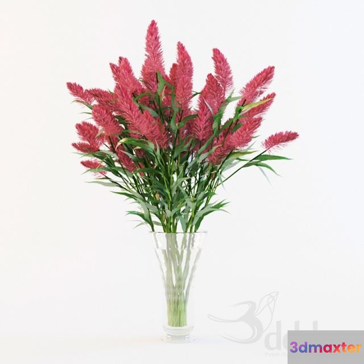 Red flower 3D Max