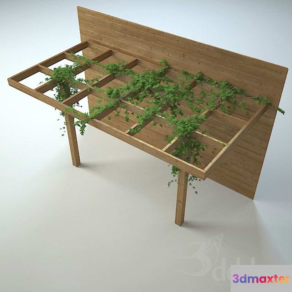 Pergola - No.4