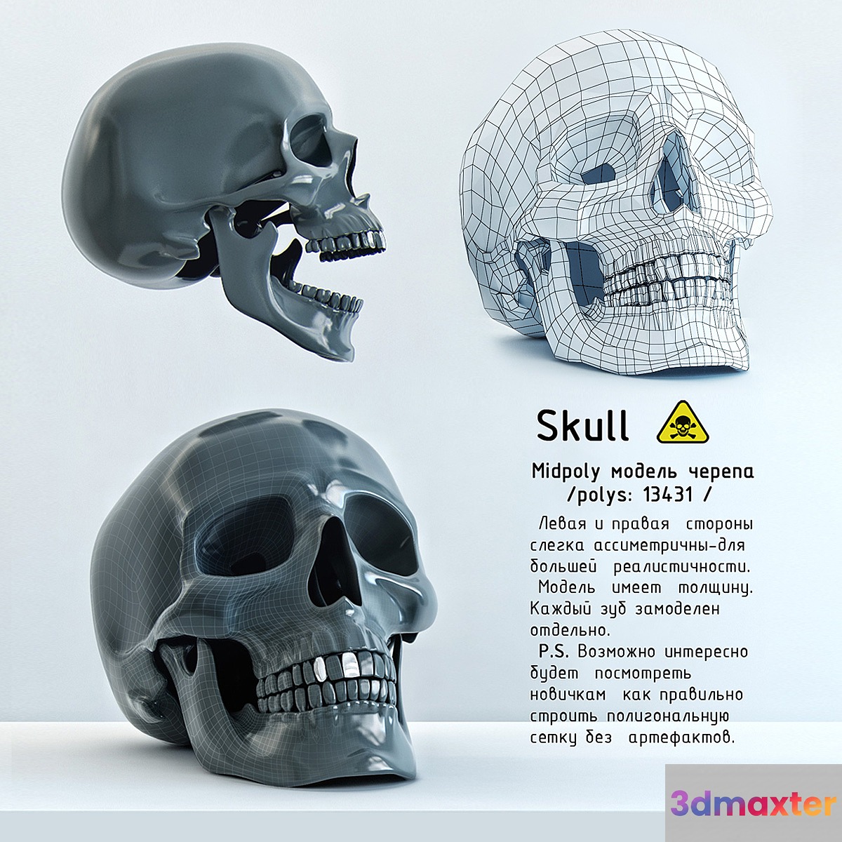 Skull - No.2