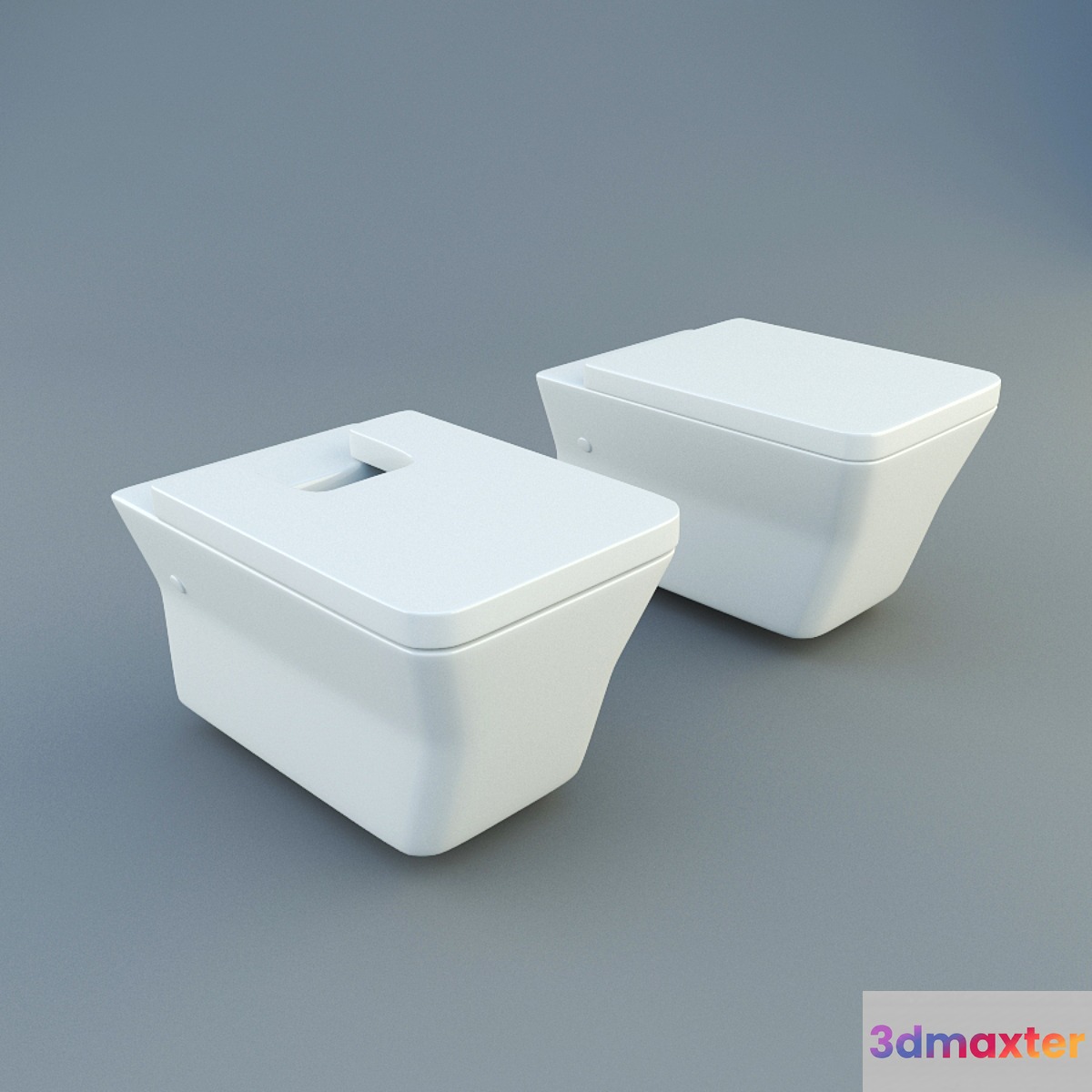 Jacob Delafon Reve toilet and bidet