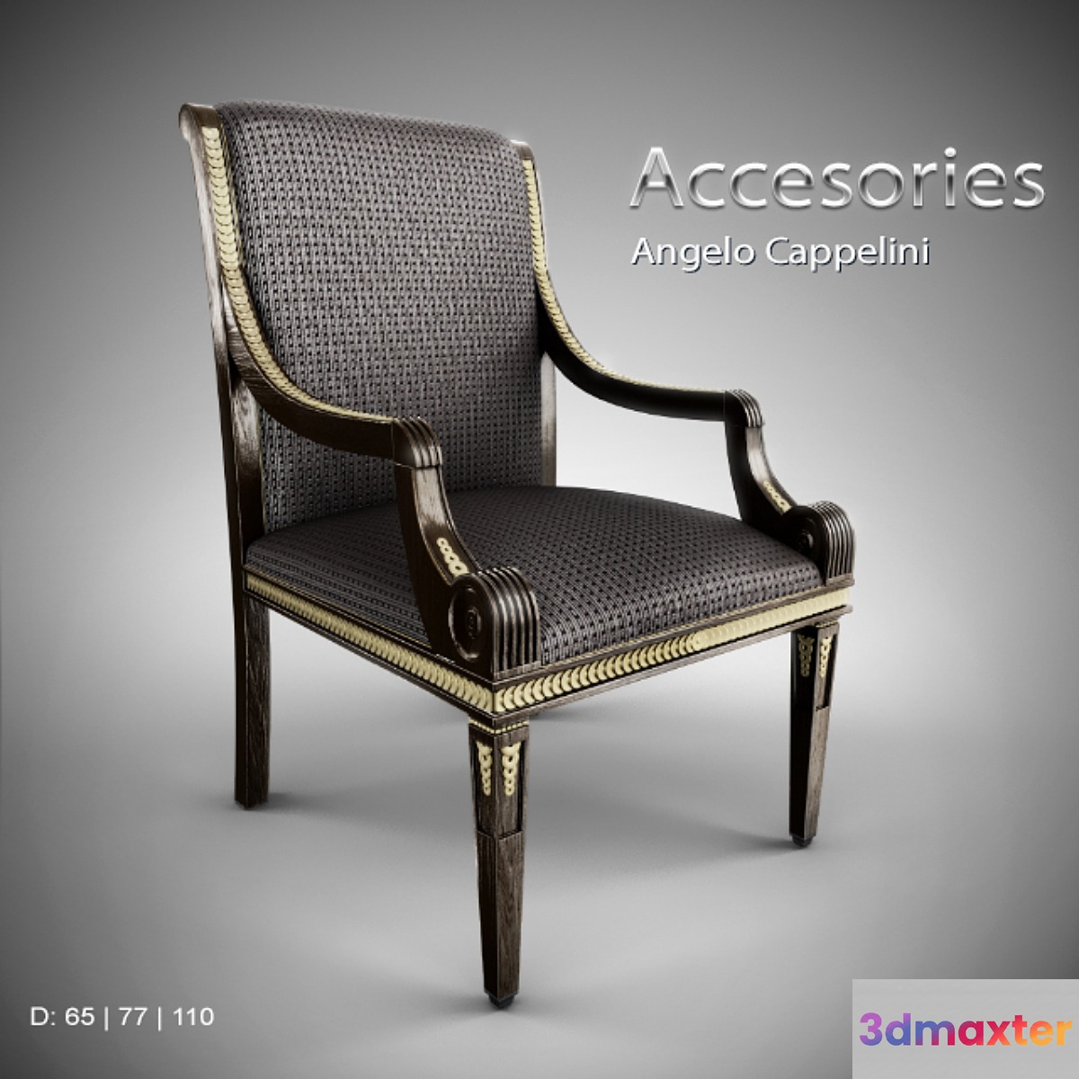 Angelo Cappelini _ Accesories