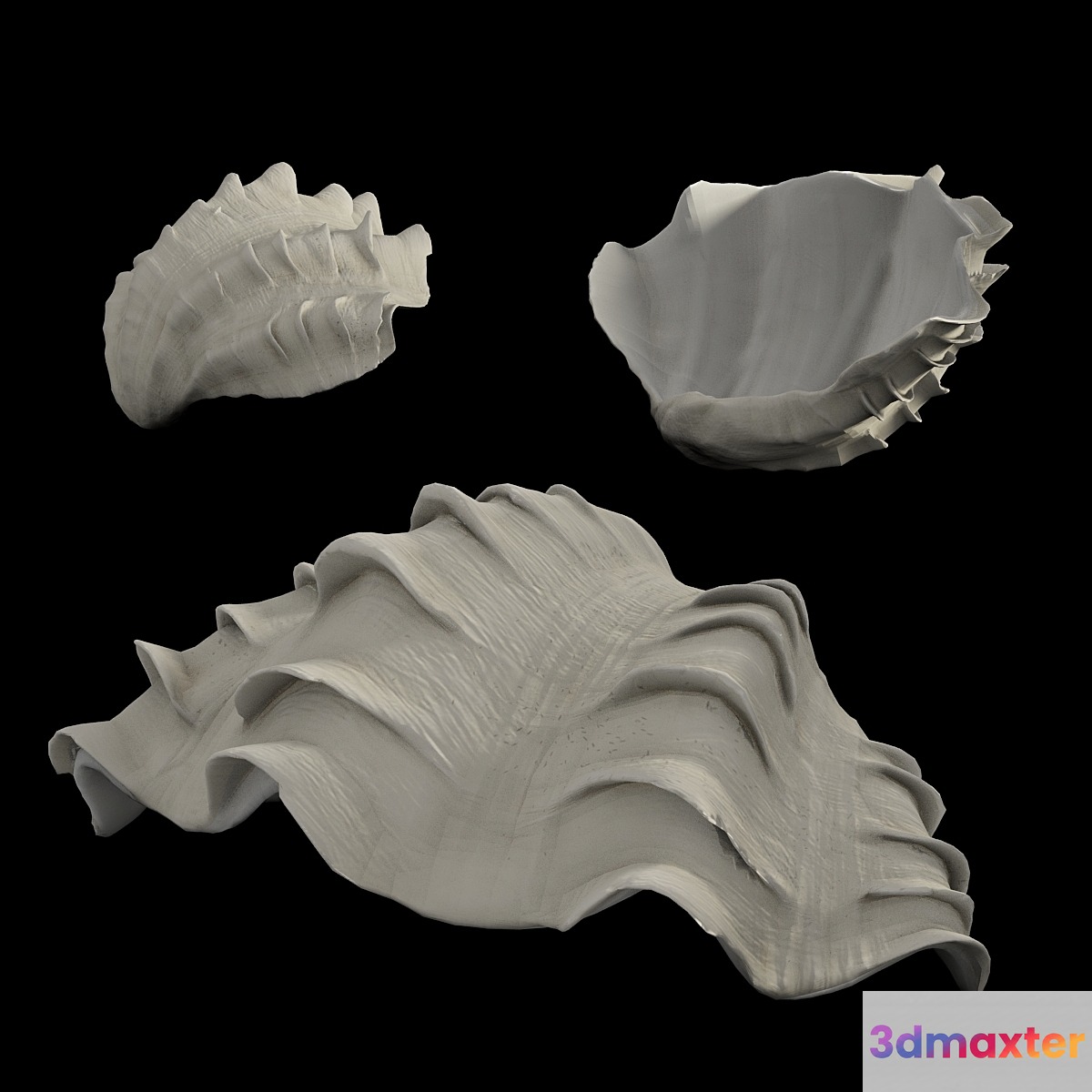 Shell 3D Max