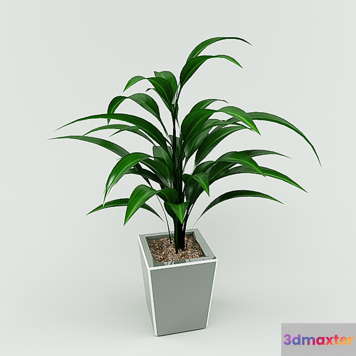 plant - No.6