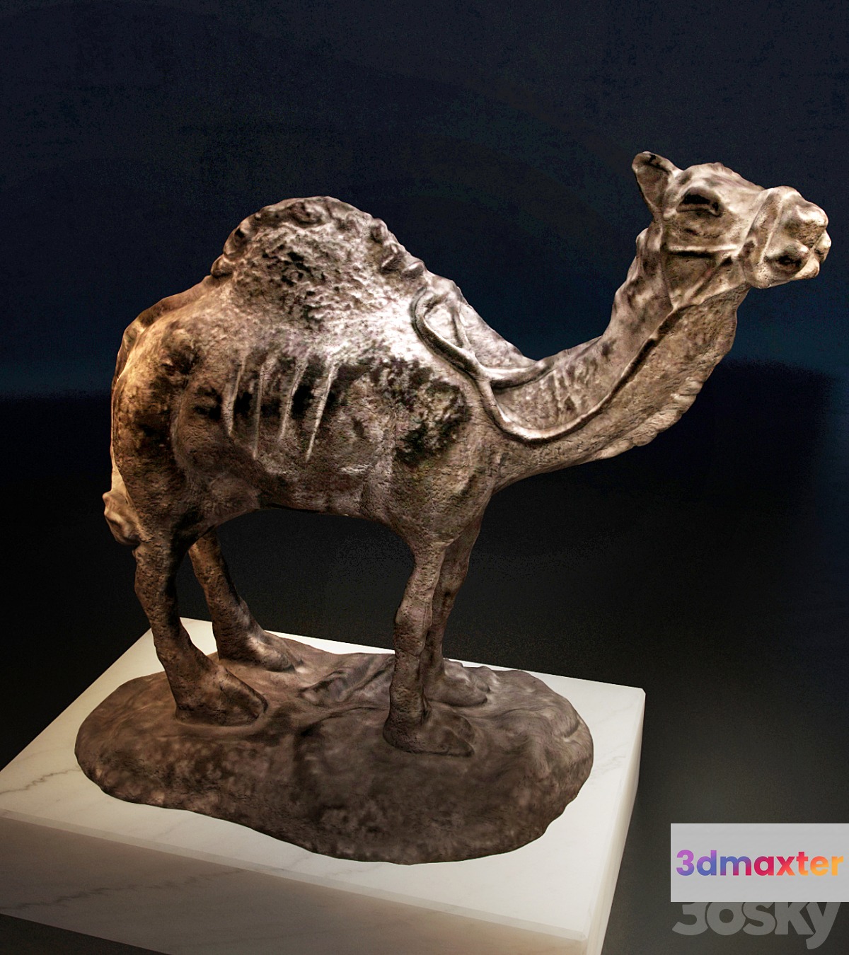 Camel - No.3