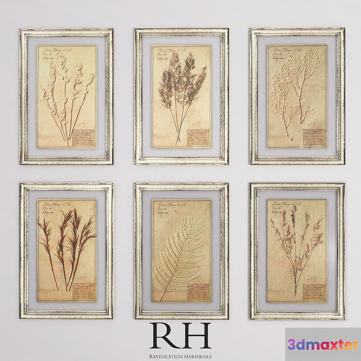 19TH C. FRAMED HERBARIUMS IVORY (SET OF 6)