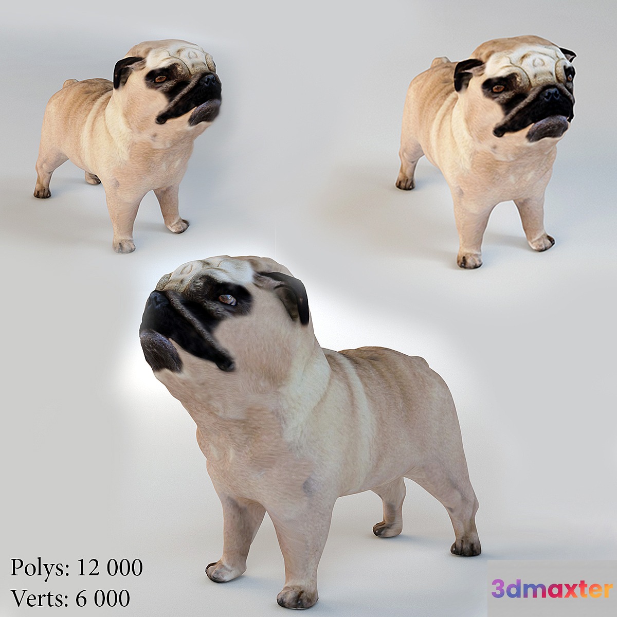 Pug 3D Max