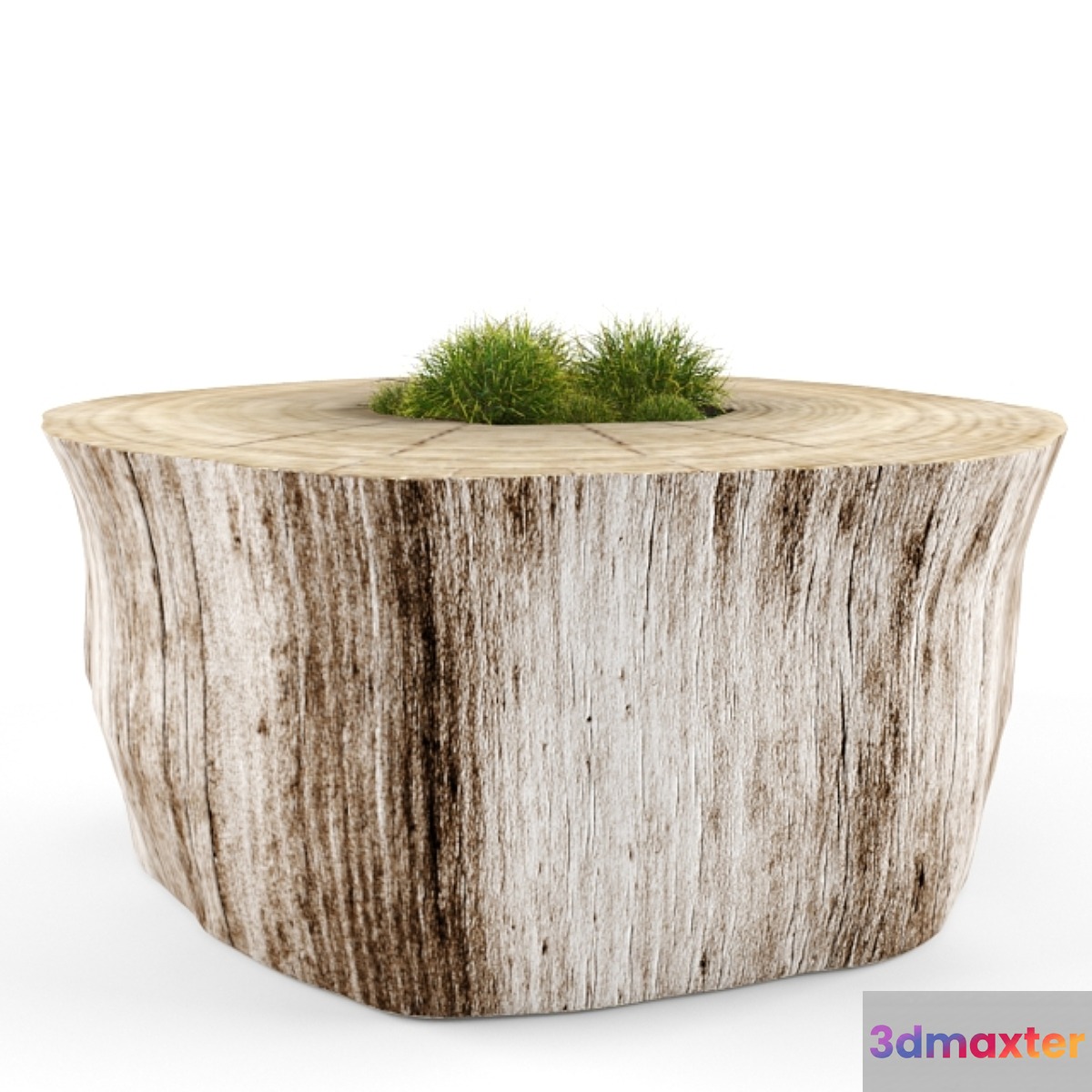 stump 3D Max