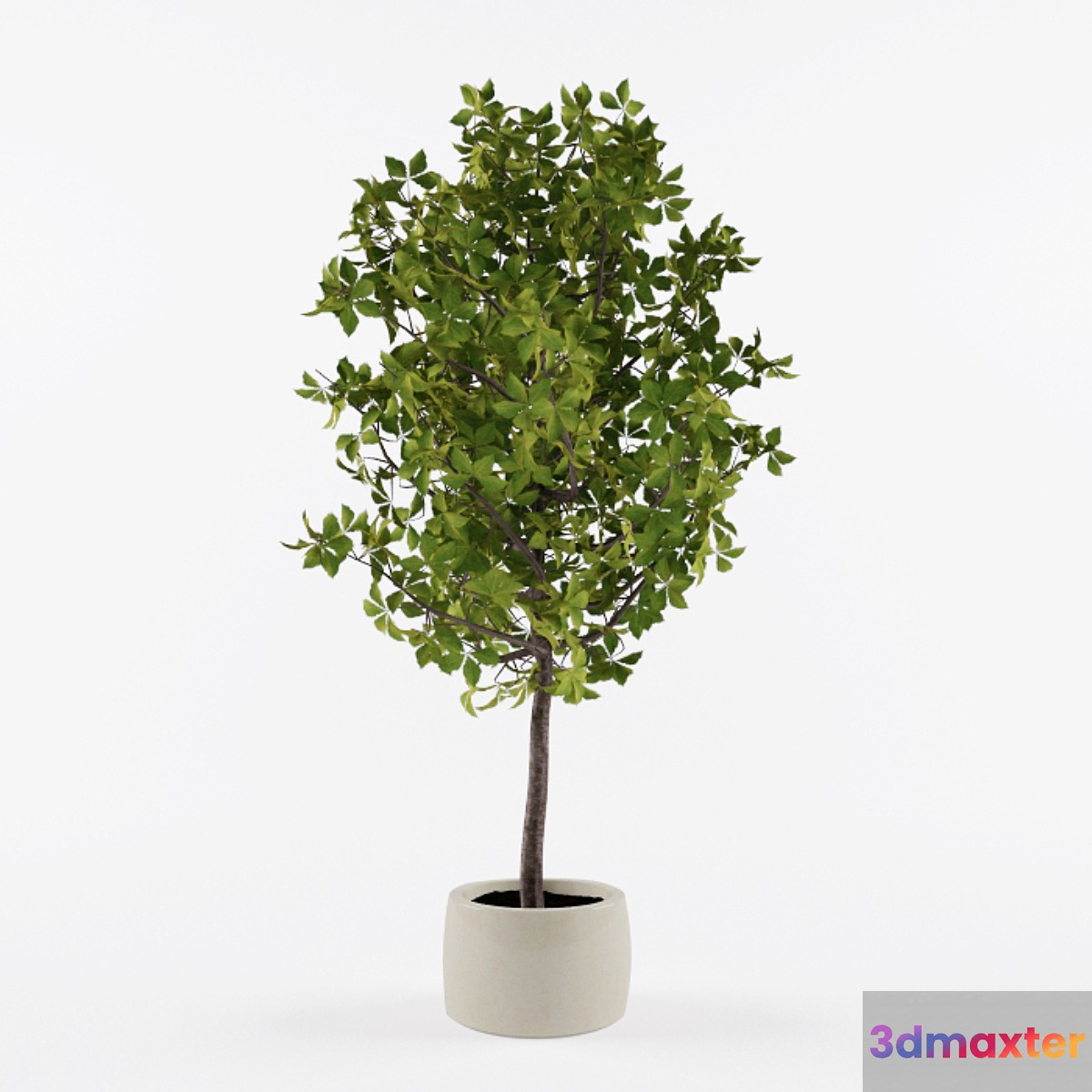 Homemade tree 3D Max