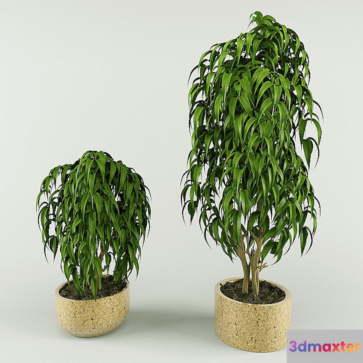 plant 3D Max