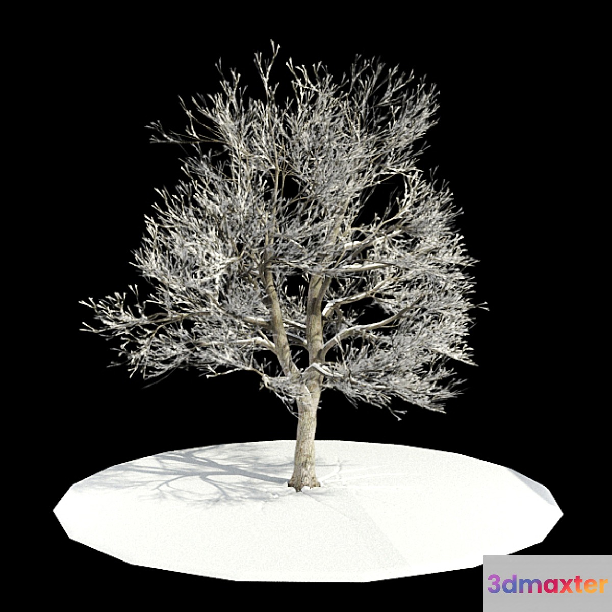 tree-snow _ tree in snow