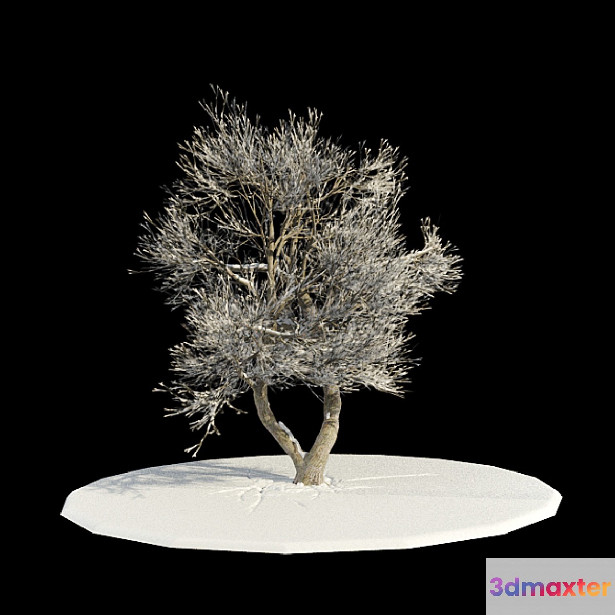 tree-snow v3 _ tree in snow v3