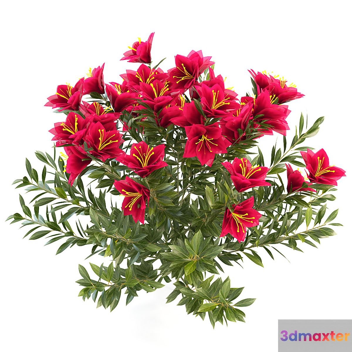 azalea garden 3D Max