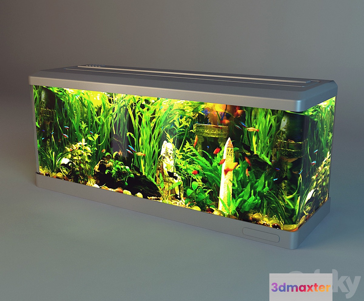 Aquarium without thumbs 3D Max