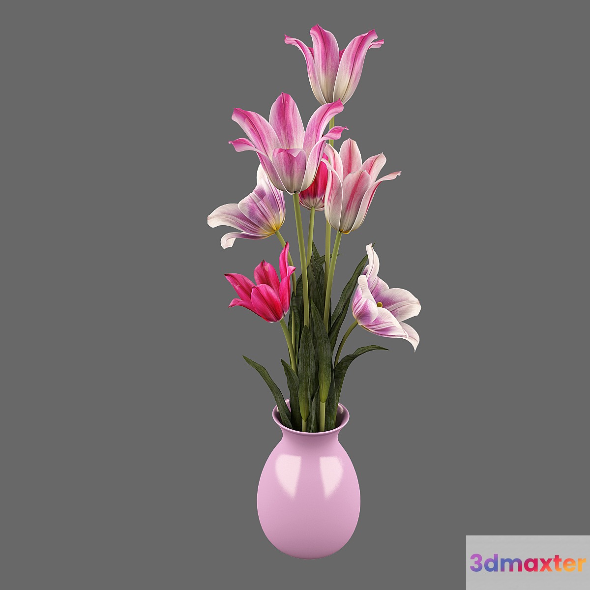Tulips 3D Max