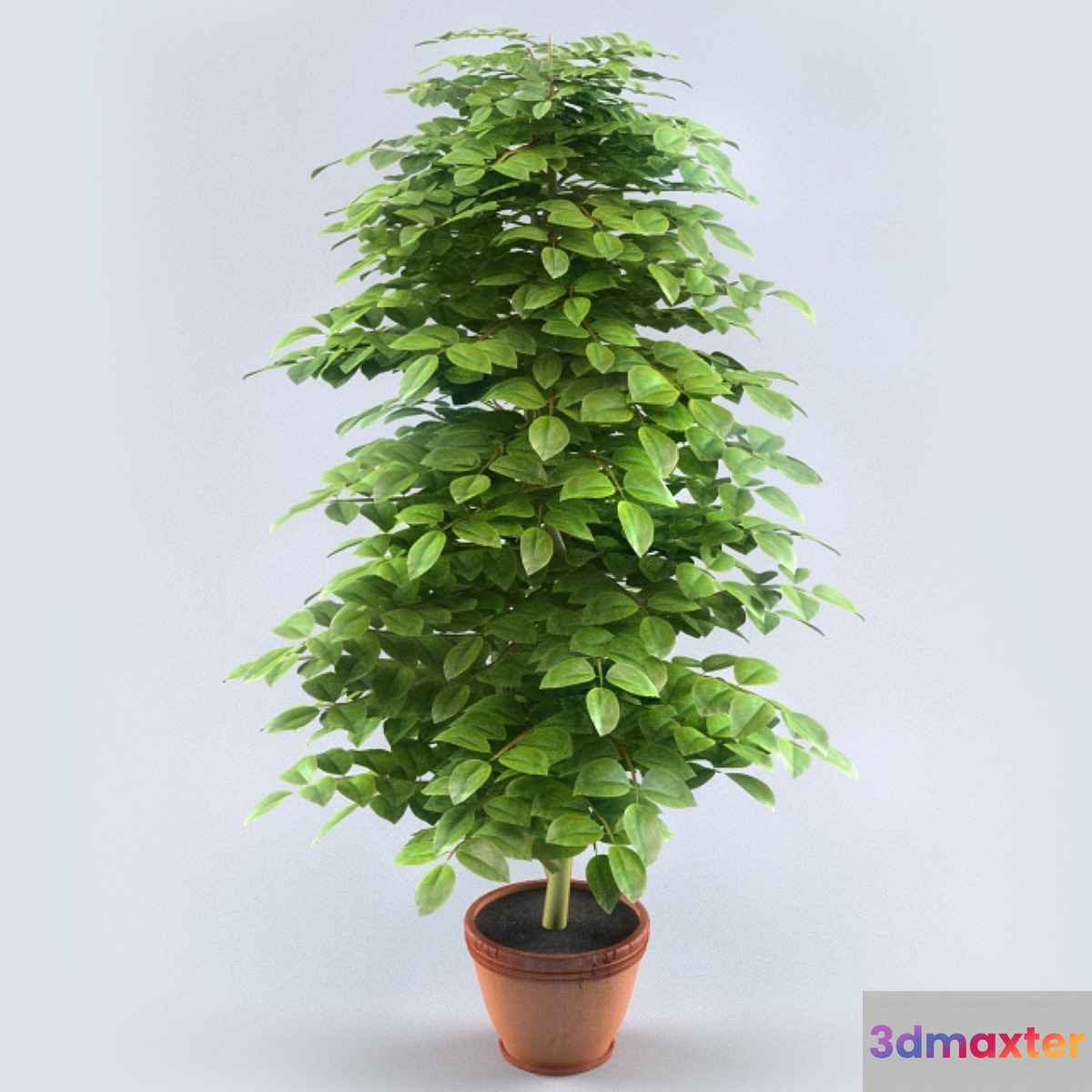 Bush Decorative Lemon 3D Max