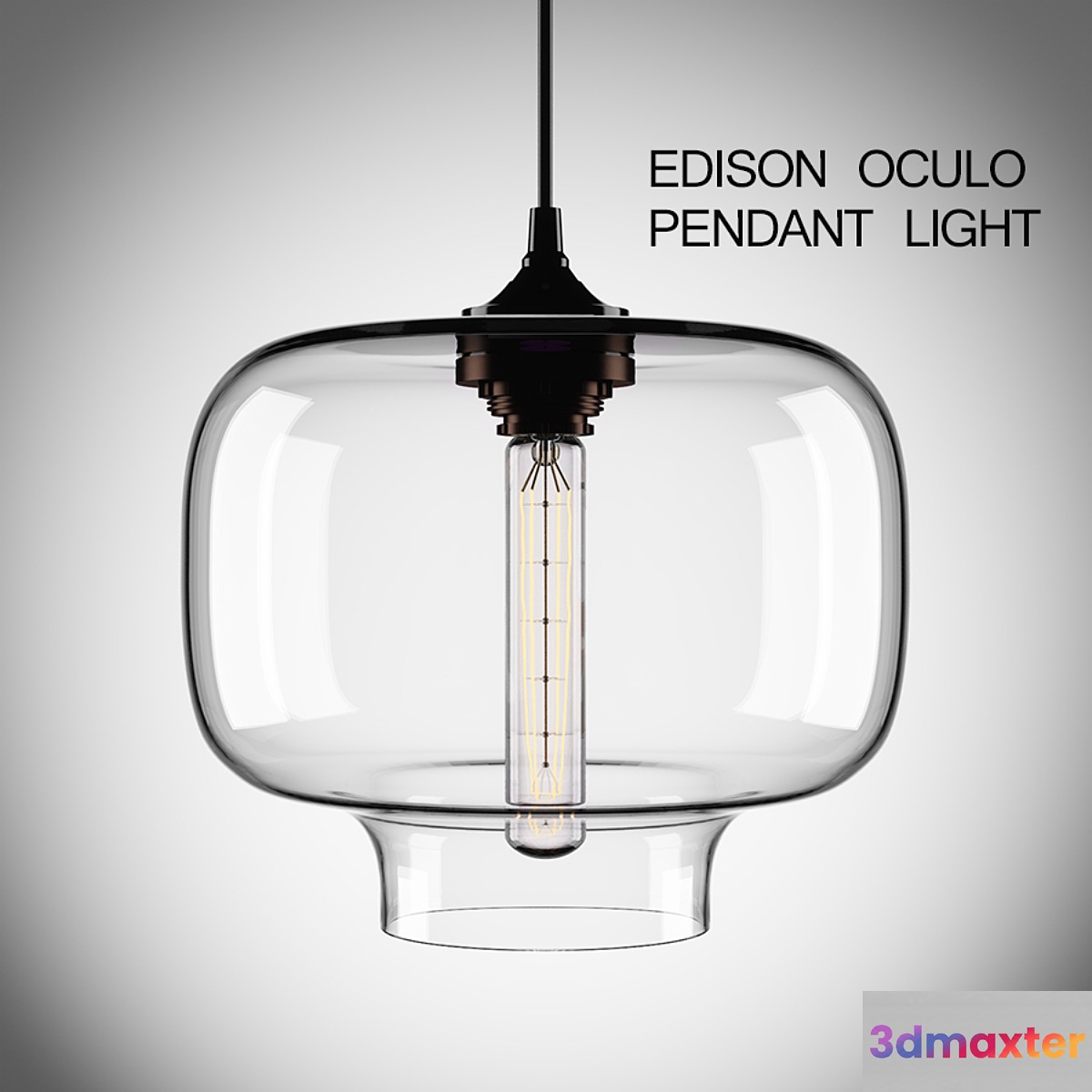 Edison Oculo Pendant Light 3D Max