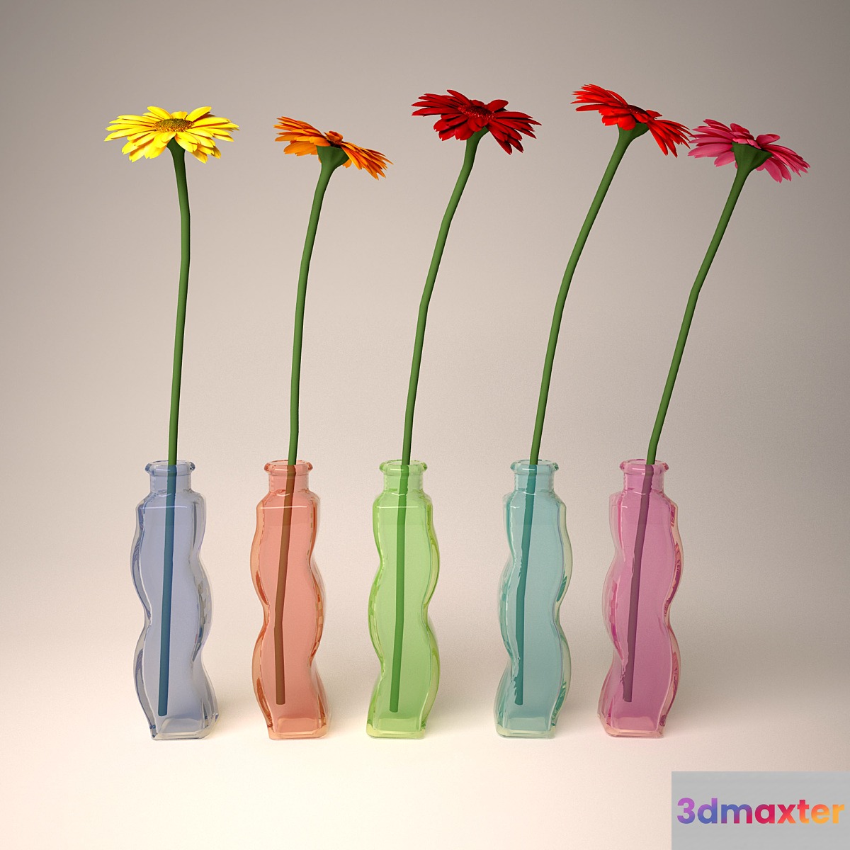 Gerbera 3D Max