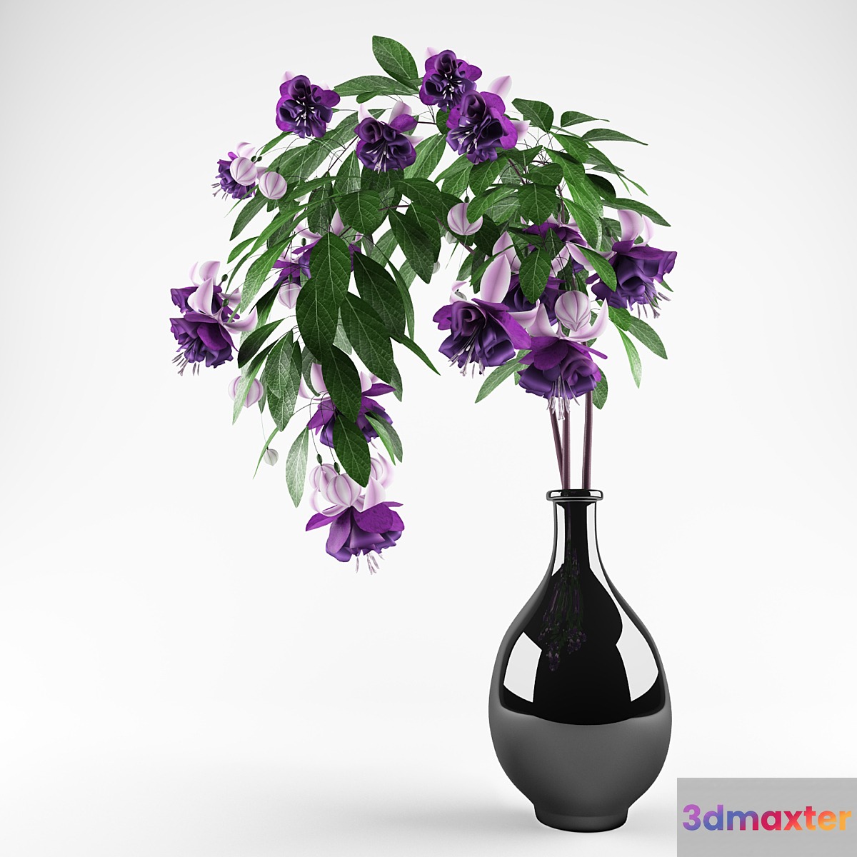 Fuchsia 3D Max