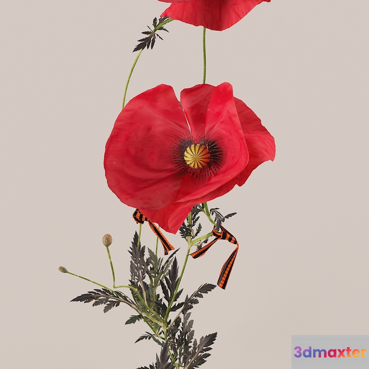 Poppies (Poppies)