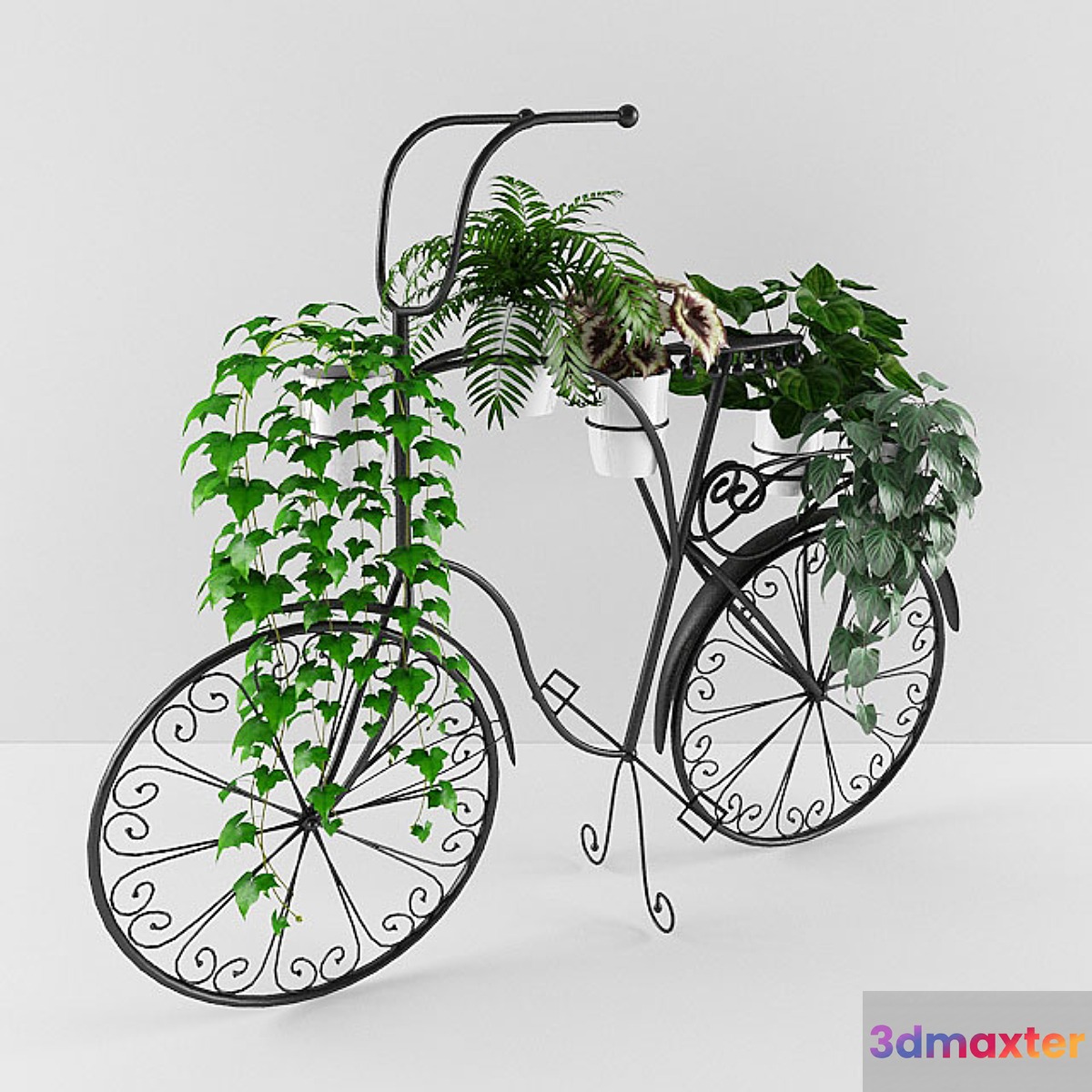 flowers plants. 3D Max