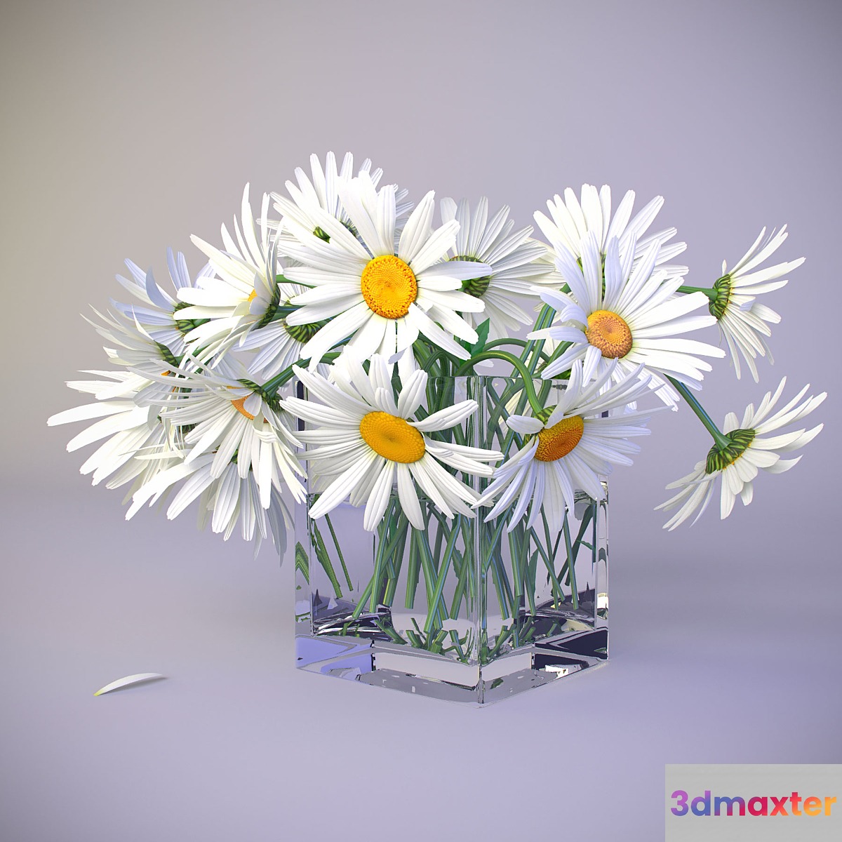 Bouquet of daisies 3D Max