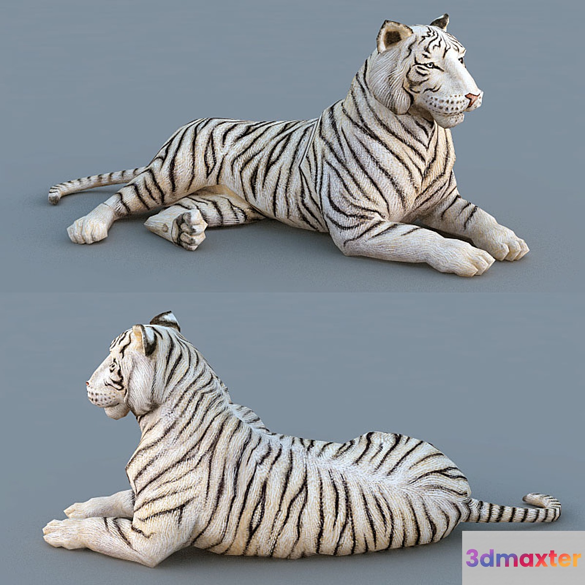 White Tiger 3D Max
