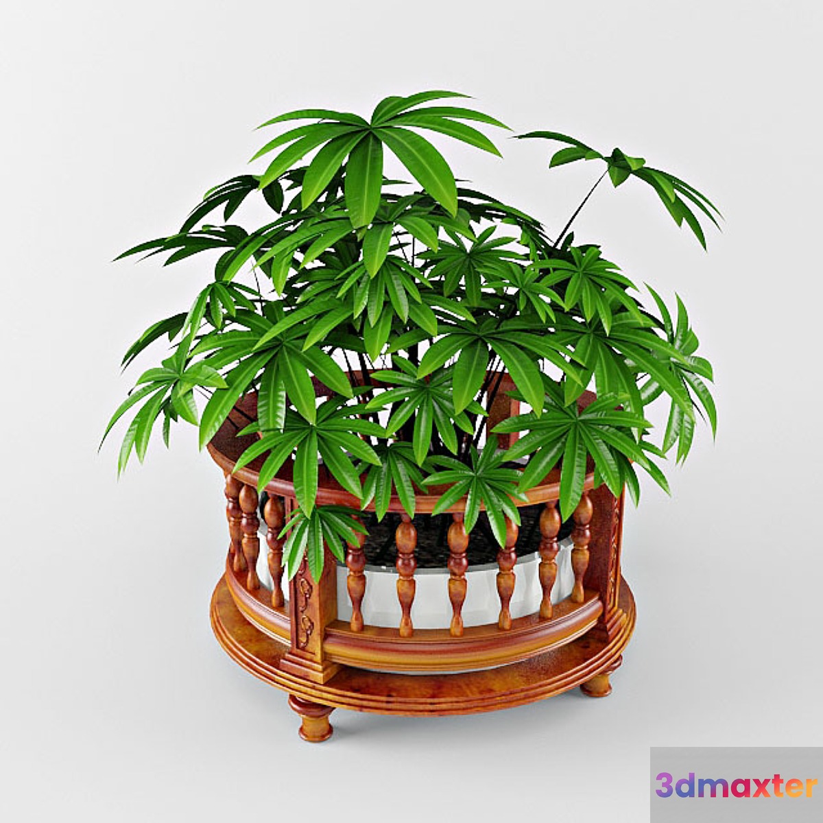 plant - No.8