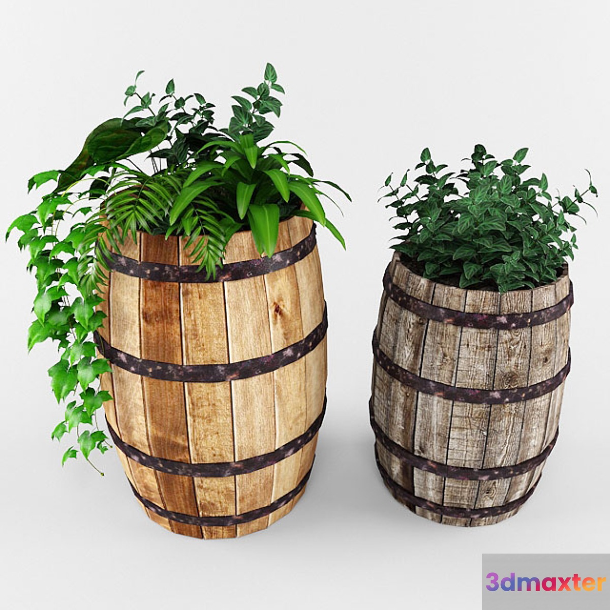 plant - No.7