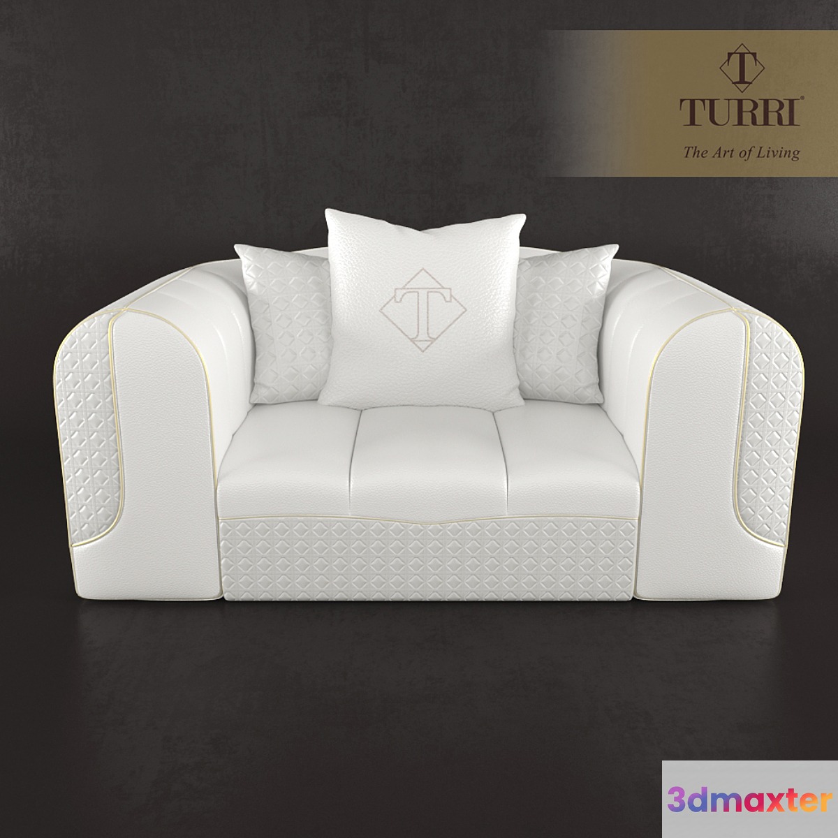 Turri Caractere collection_ armchair 3D Max