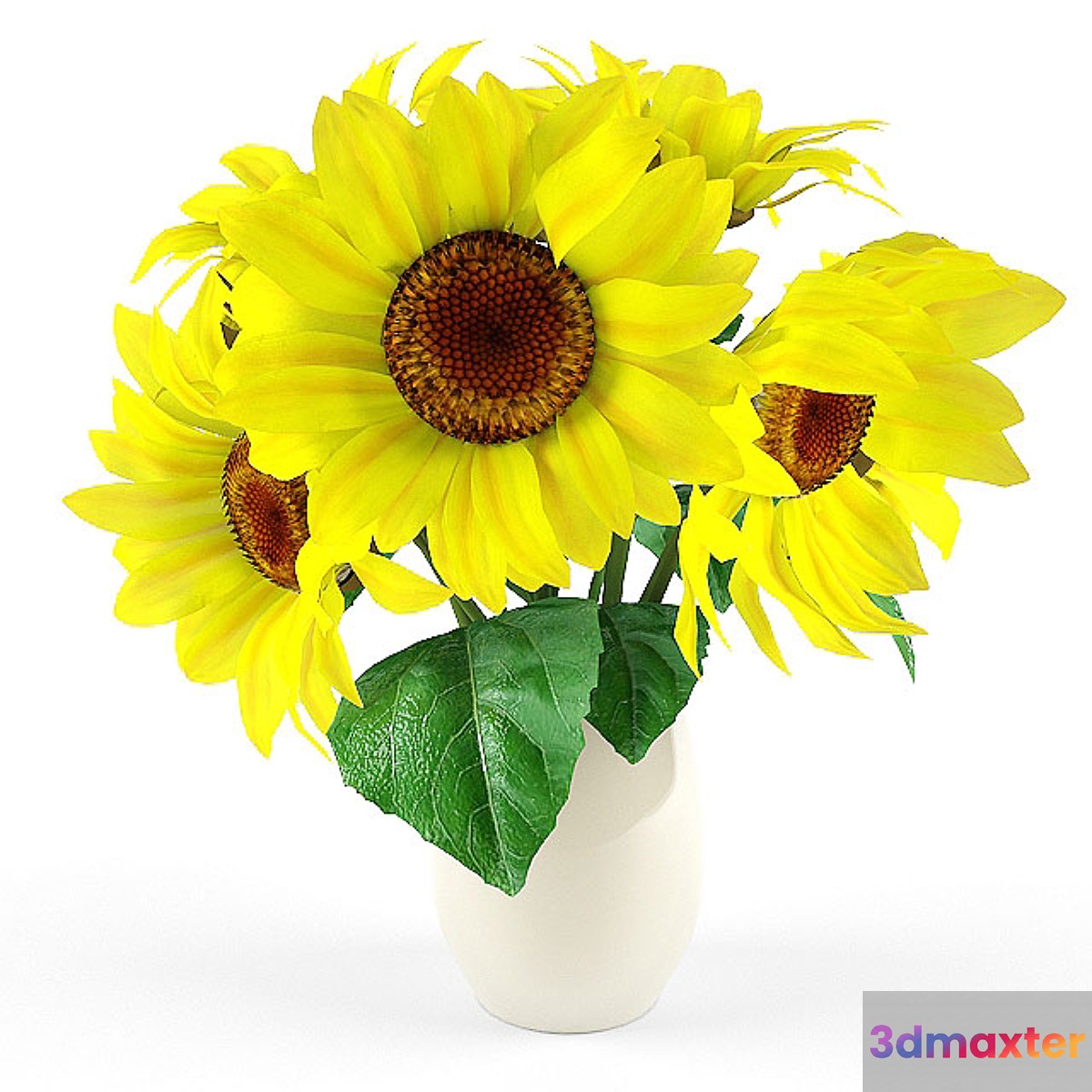 sunflower 3D Max