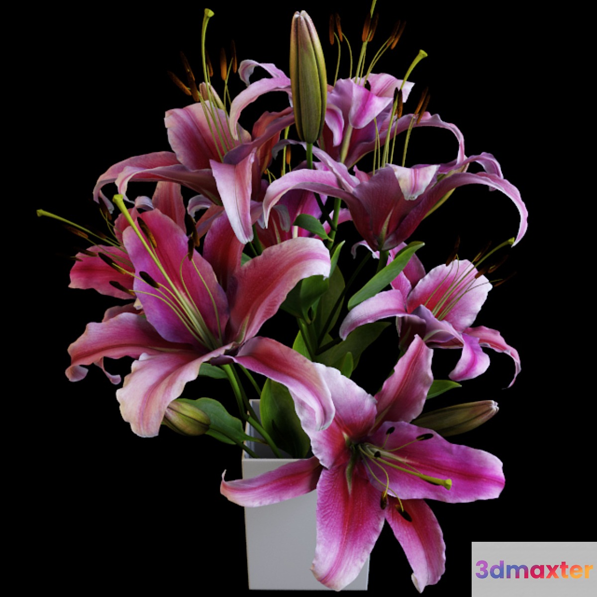 Lily bouquet 3D Max