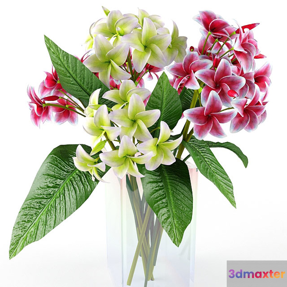 flowers 3D Max