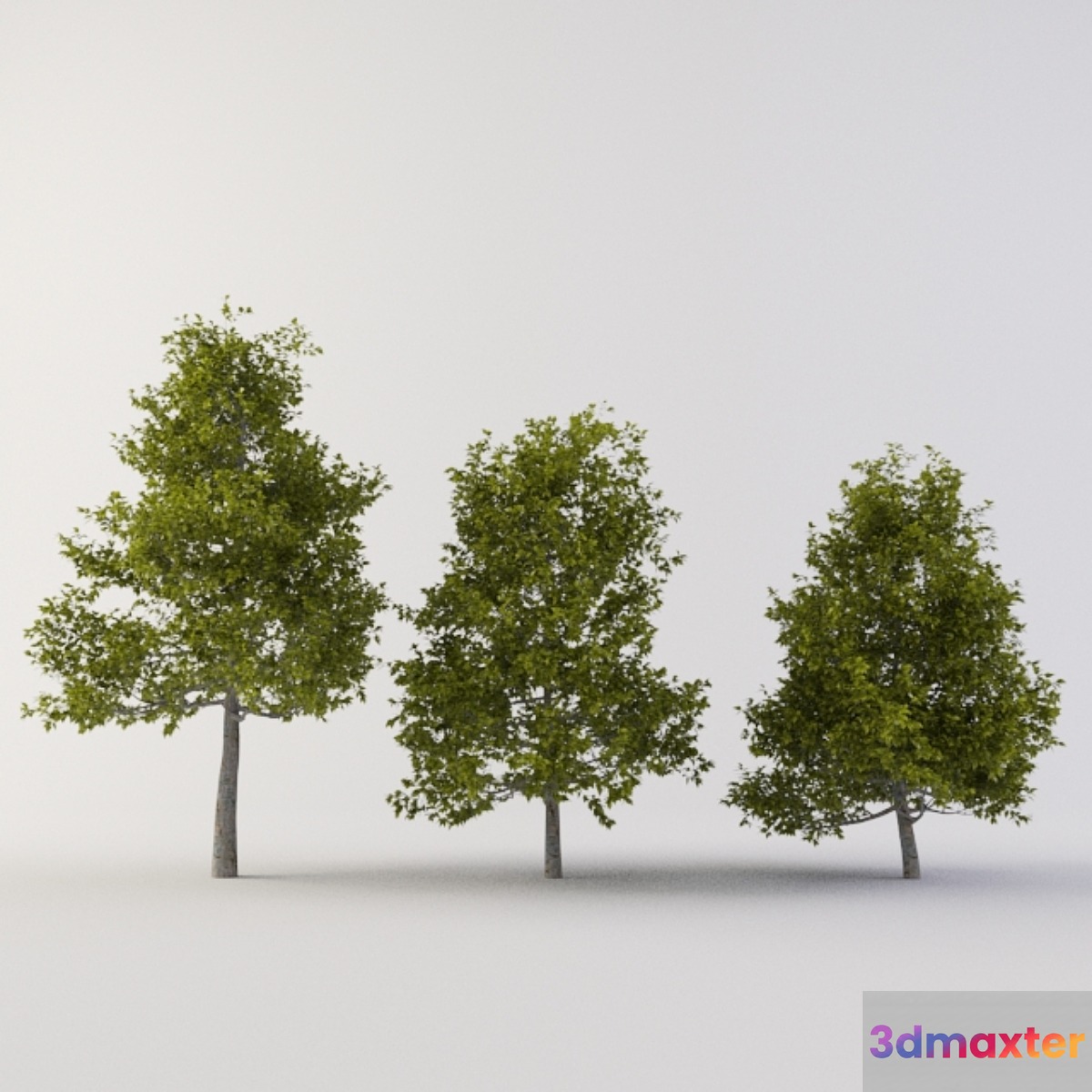 Tree 3D Max