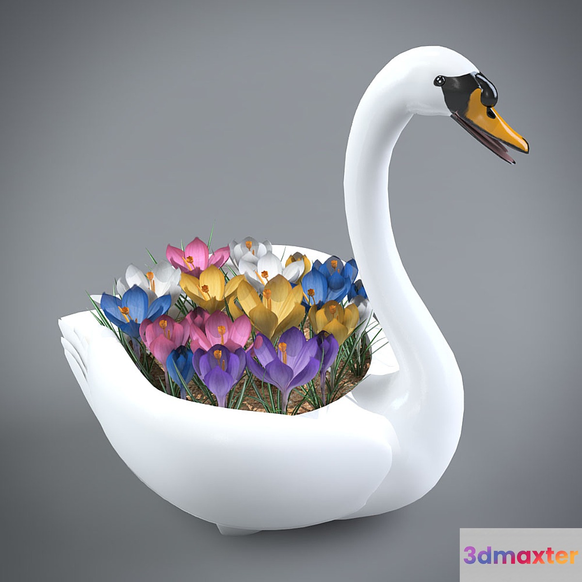 decorative pot of crocuses